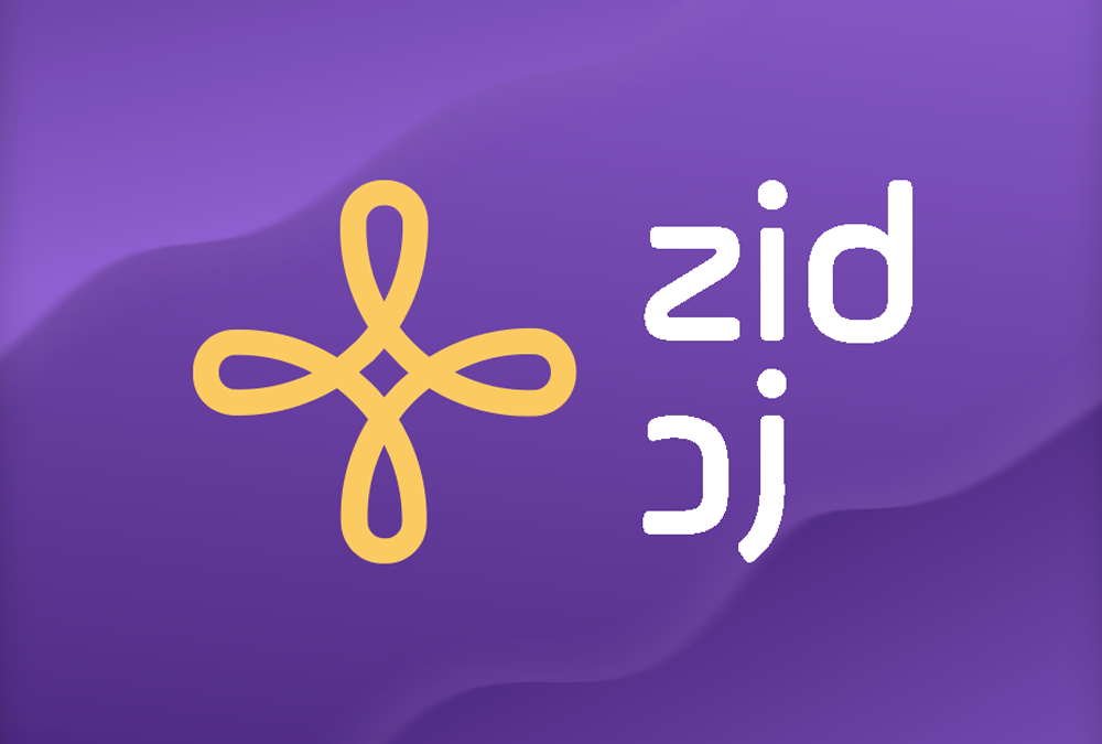 منصة زد: بوابتك إلى عالم التجارة الإلكترونية الاحترافية